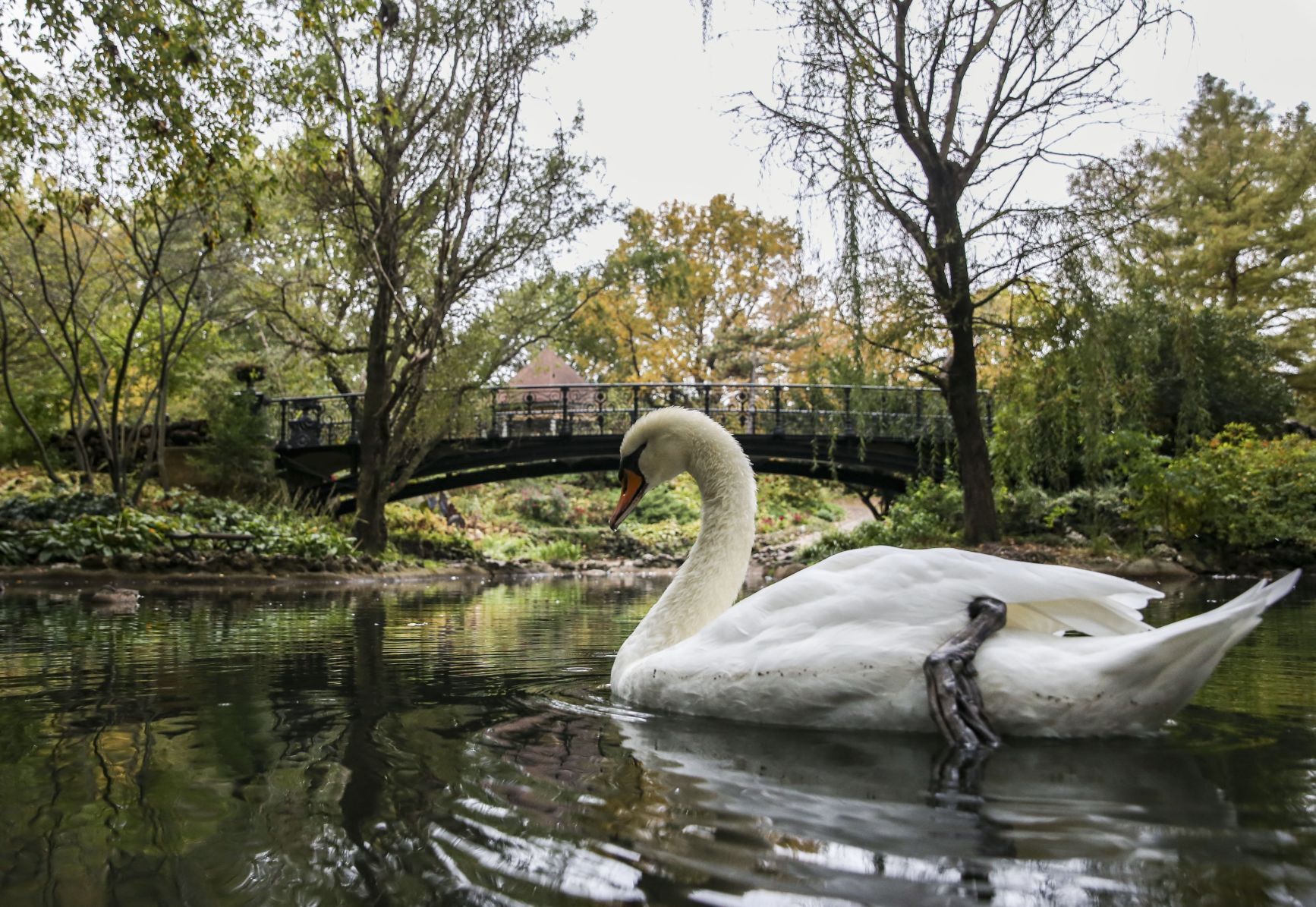 Fall temperatures appear in October